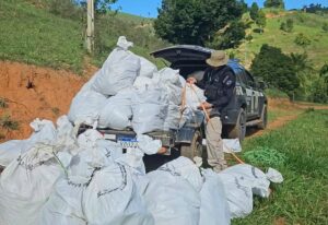 Megaoperação no Extremo Sul: Polícia Civil Apreende Mais de Meia Tonelada de Maconha em Itamaraju!